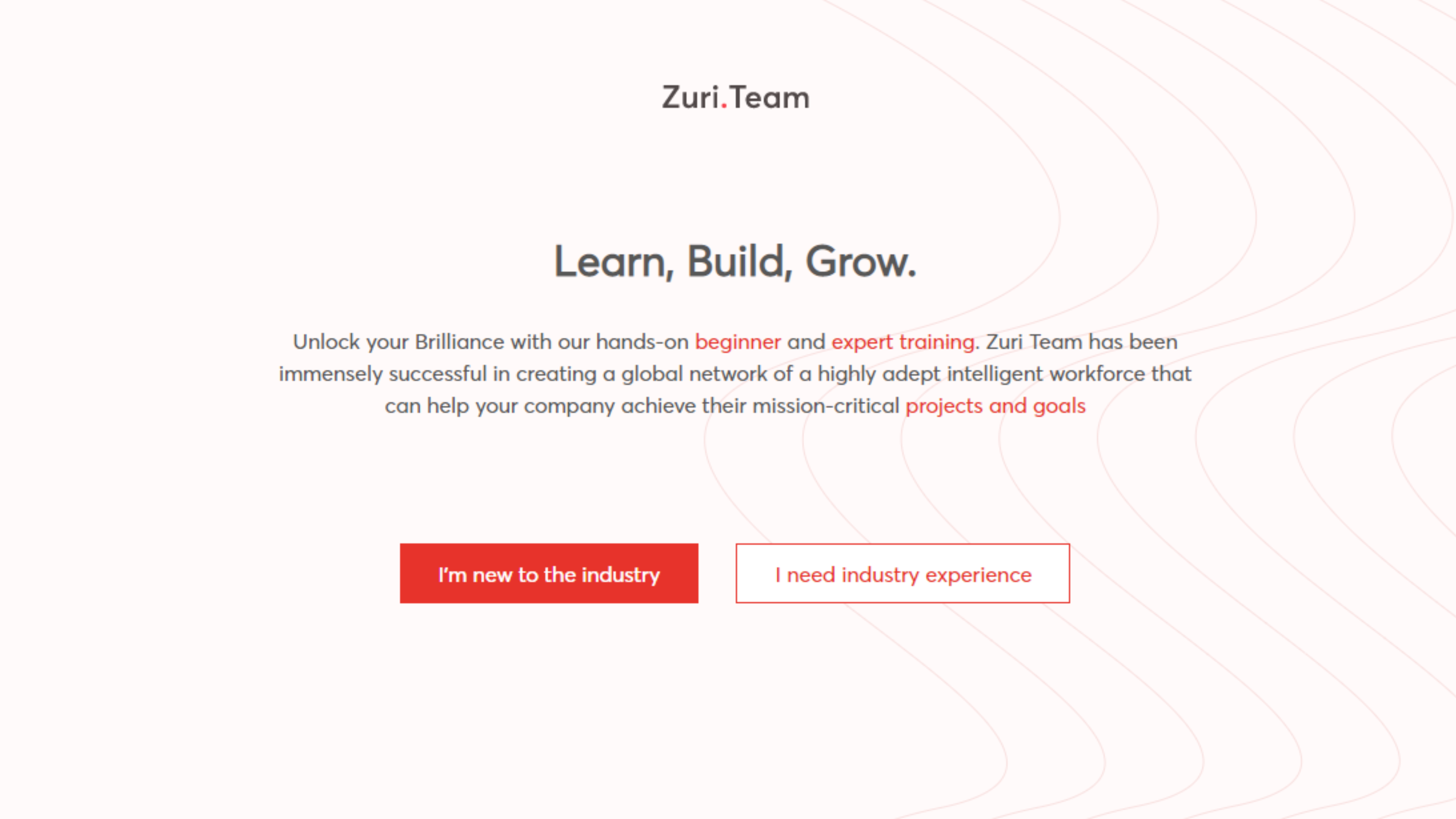 Zuri Website Duplicate